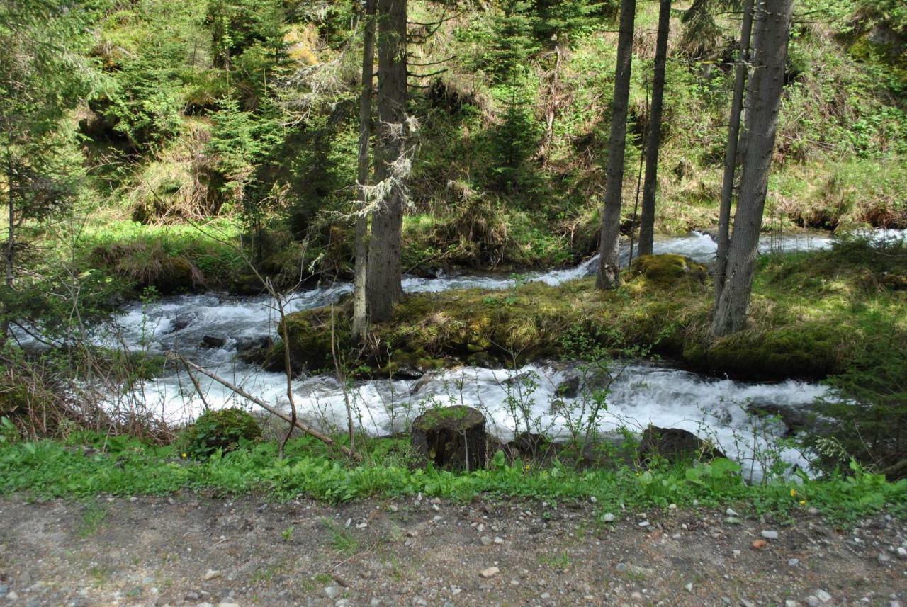 Ferienhaus Gstoderblick Seebach (Styria) Exterior foto